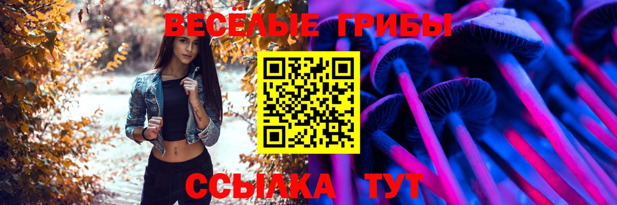 Псилоцибиновые грибы MAGIC MUSHROOMS  Вход с VPN  Кушва 